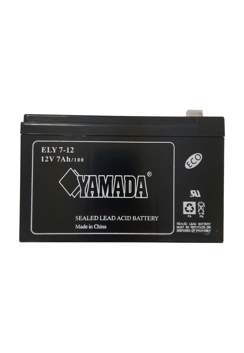 SP 22 - batteria per BST800 BATT e BR12 BATT SP 22 - batteria per BST800 BATT e BR12 BATT